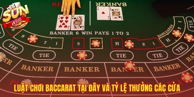 Chiến Thuật Thắng Baccarat Sunwin | 3+ Công Thức Hiệu Quả 4 Chiến thuật thắng Baccarat SUNWIN bắt đầu từ luật chơi cơ bản